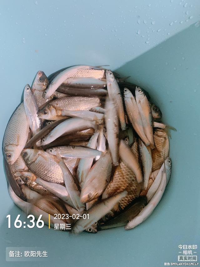 |再战千工坝，连杆的感觉真的不错！