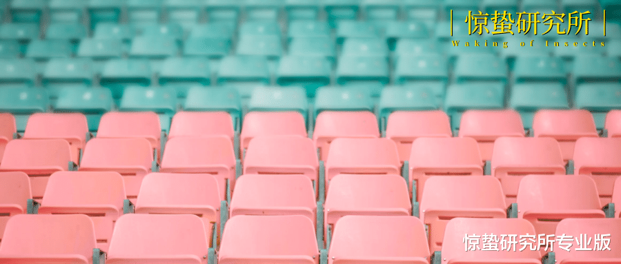 求职|一线访谈 | 没赚钱先花钱,我从付费就业咨询收获了什么?