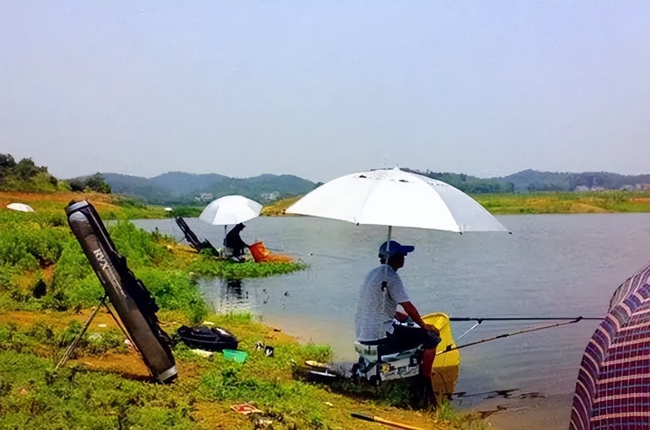 立夏|立夏过后野钓时，不宜选作钓位的5个地方，钓友必看！