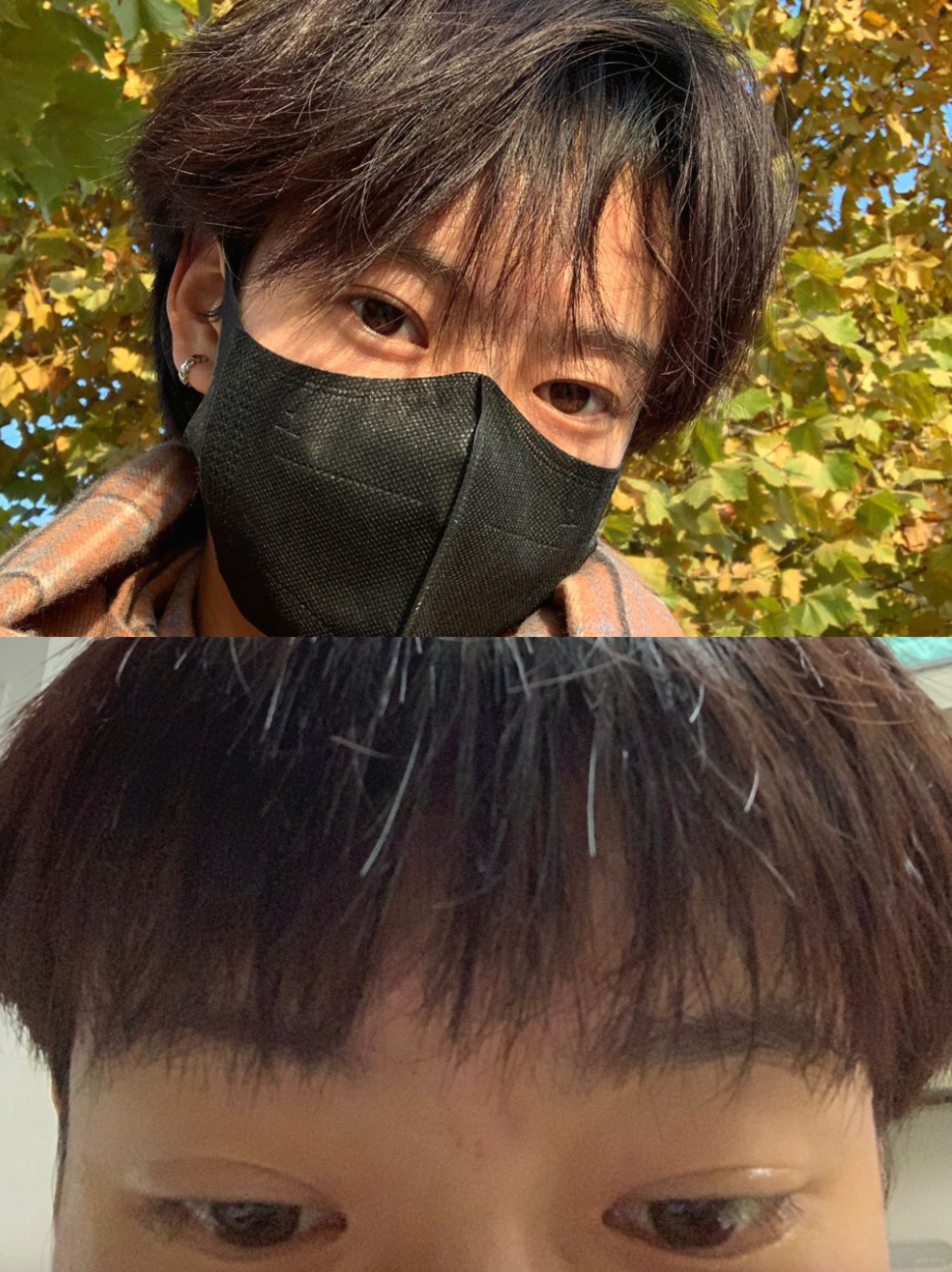 从辛芷蕾变高晓松，差的只是一个烫头的距离