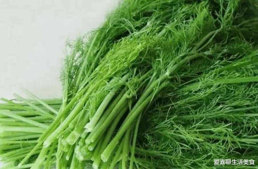 大葱|秋季包饺子,这5种馅料一定要尝尝,鲜美好吃营养高,不能亏了嘴