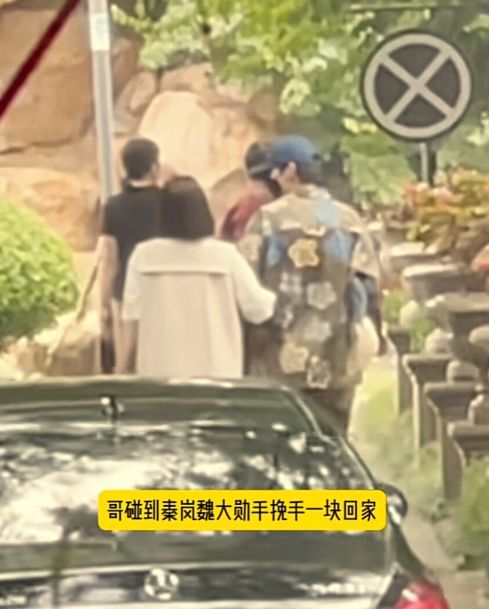 秦岚魏大勋再次被拍，魏大勋主动出来接女友，挽手回家感情稳定