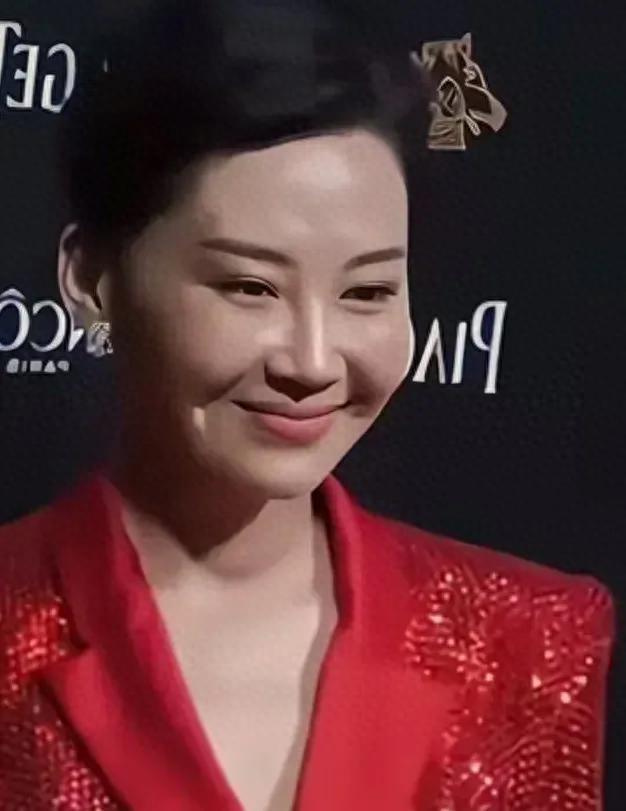 许晴久违现身大变样:脸部好似充气肿成单眼皮,硅胶感十足