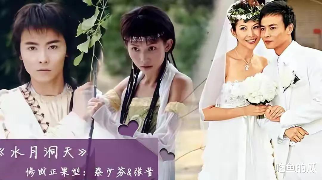 陈法蓉|曝陈法蓉单身系咎由自取,拒学蔡少芬下嫁,想高攀还被假富豪骗财