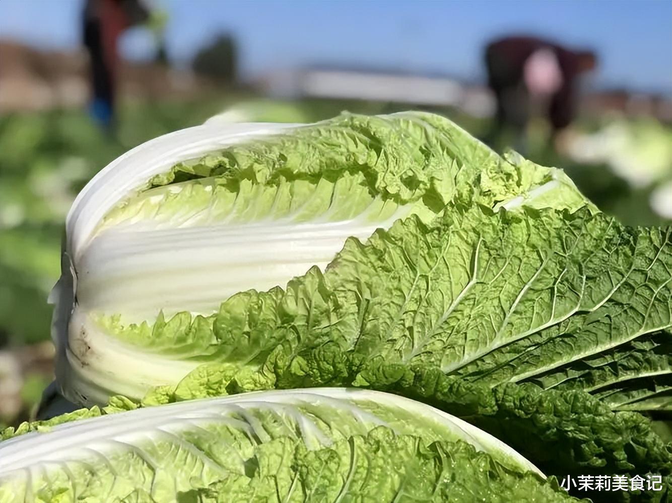 萝卜|入冬前囤菜,别光囤萝卜白菜,这5种好吃又便宜,多买些保存起来,随吃随取,冬天不愁没好菜