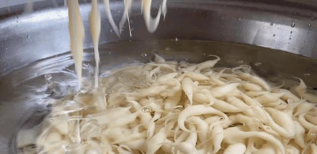 陈赫|“面王”陈赫自告奋勇在蘑菇屋做面,结果差点变“投毒”