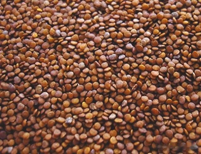 冰粉|中国人“吃到吐”的民间小吃，在国外成奢侈品，还起了个洋名字？