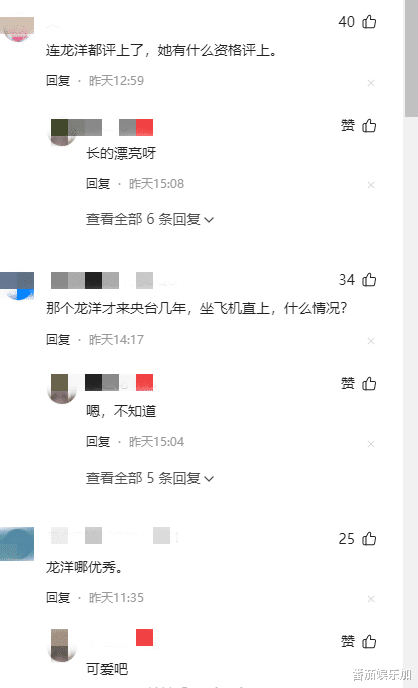 央视十佳主持人出炉！杨帆任鲁豫落选，龙洋上榜受质疑