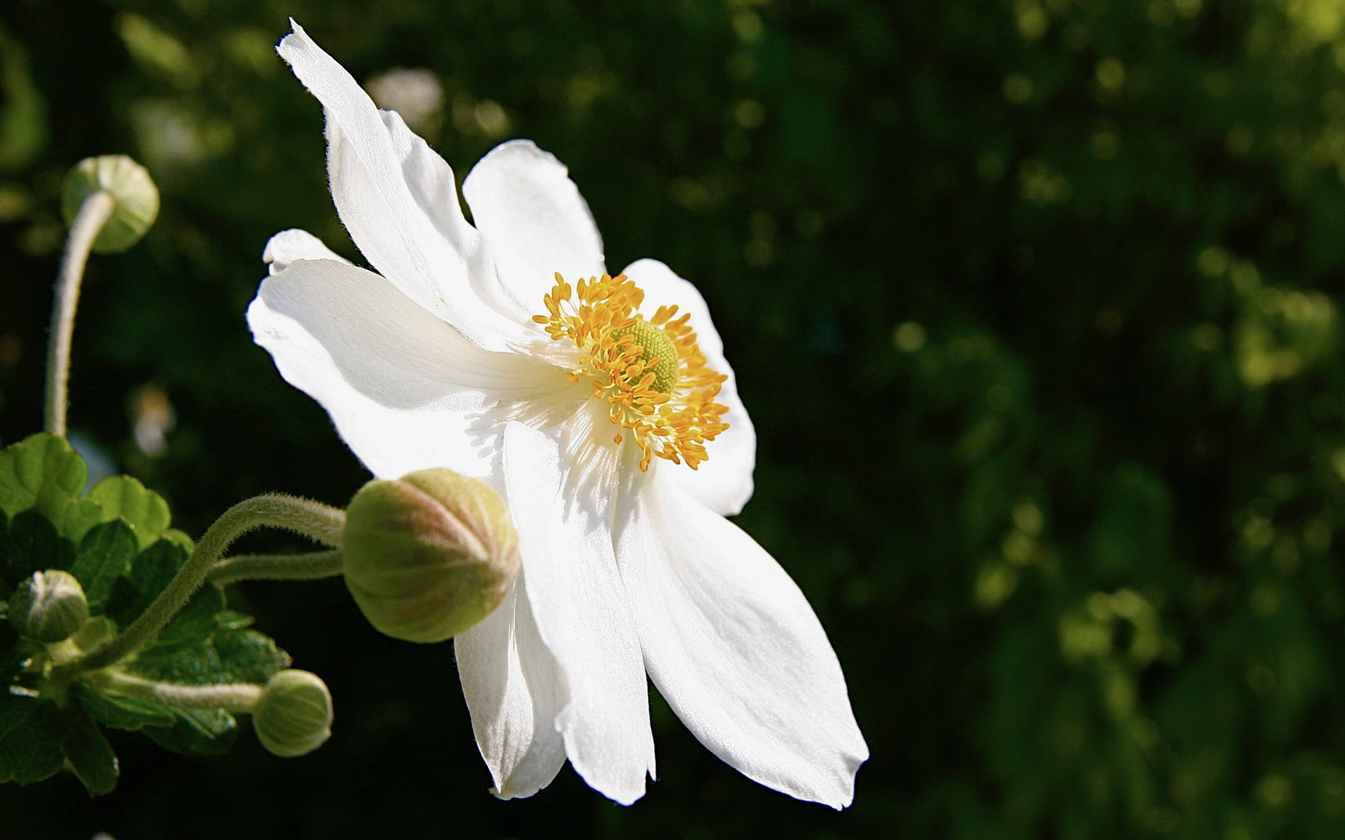 星座资讯(主打网)