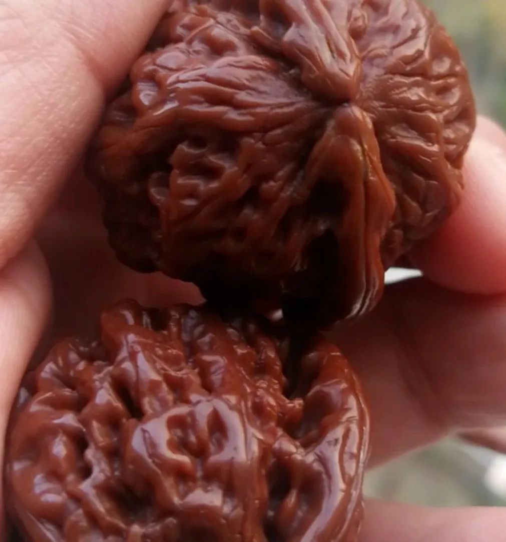 文玩圈子新时代的自传