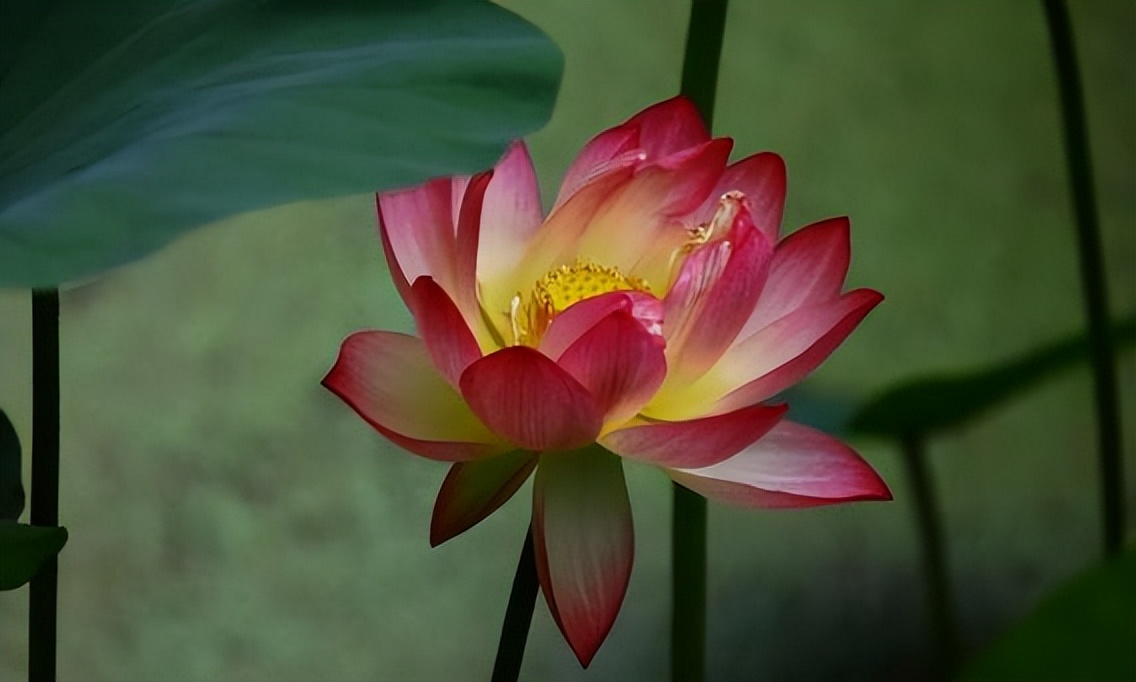 退休|退休后最好的活法：上、止、正