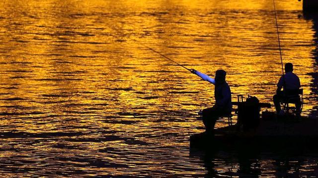 水库|夜钓水库测试新钓法，以失败告终，结论：这钓法不适合钓水库