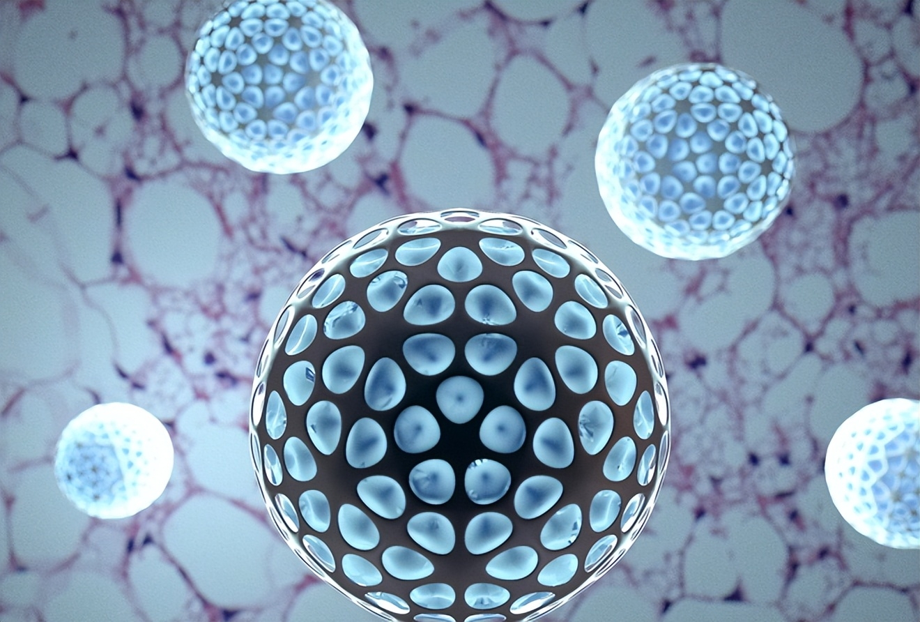 制备纳米脂肪中，你们知道纳米脂肪有什么用吗？