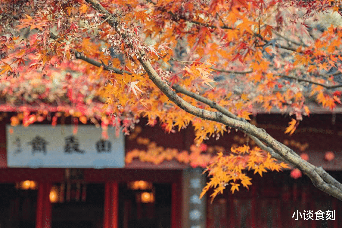 |“十三不防風(fēng)，百病來得兇”，九月十三啥日子？為啥要防風(fēng)邪？