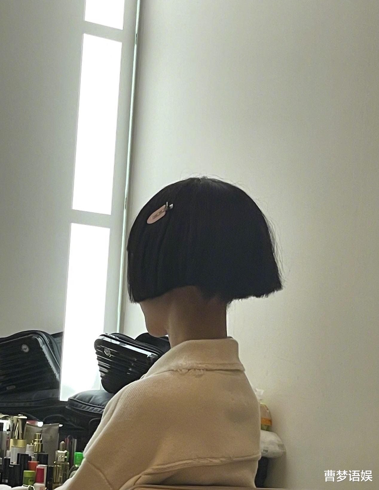 李沁|明星庆龙抬头:杨幂罗云熙鞠婧祎剪发,佟丽娅冲浪,李沁在线卖萌