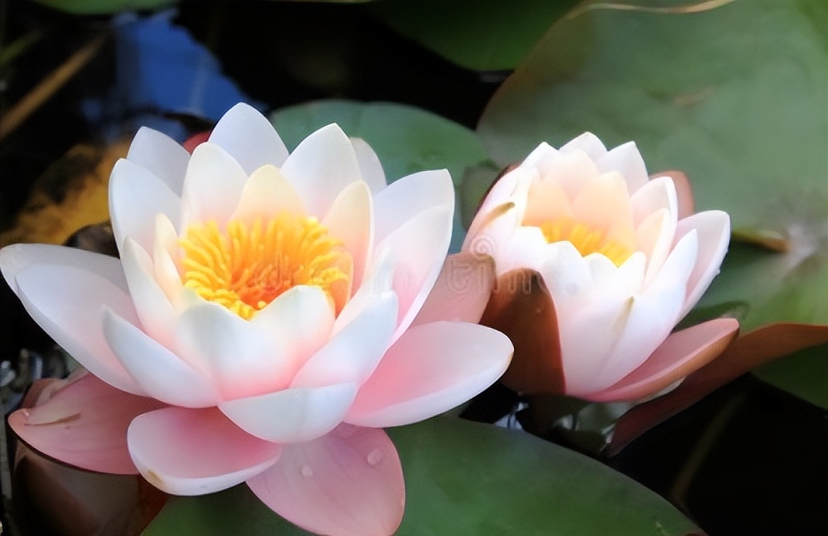 求职|我后知后觉才明白的6件事