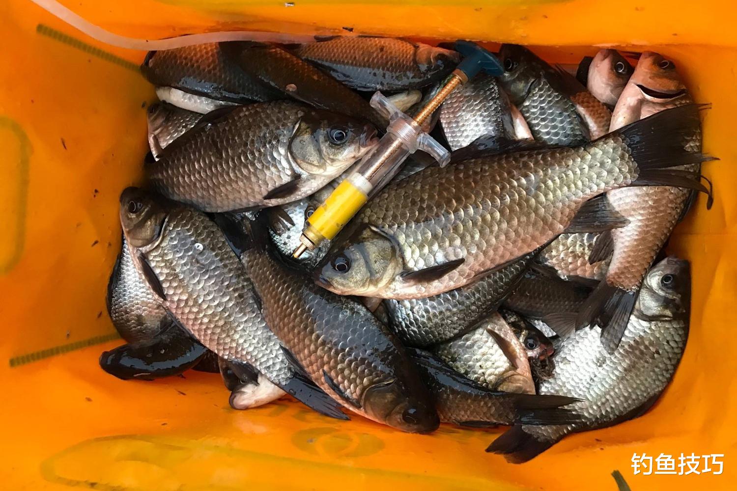 冬季钓鱼时找鱼的方法和步骤,使用高端设备