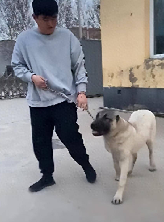 赵本山儿子:你们算哪根葱,我家钱十辈子花不完,利息都比你们多