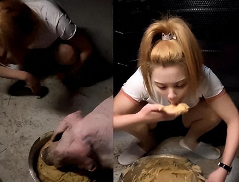 不学无术的跳梁小丑，转眼成为人上人，究竟是谁在为这些人买单啊