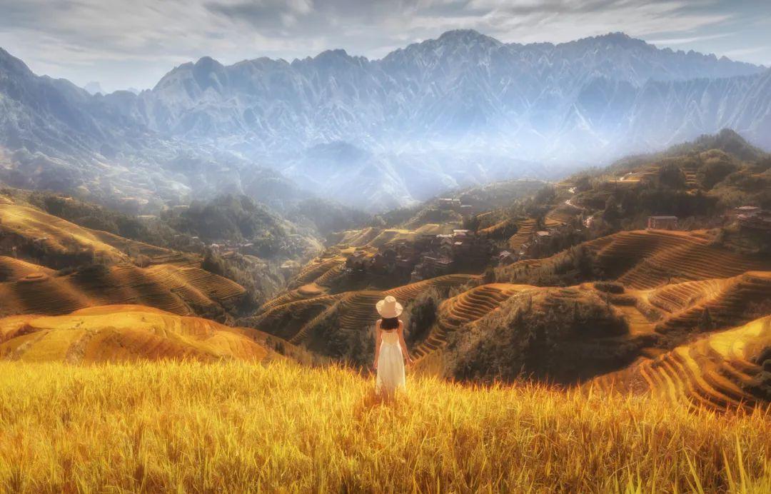 董明珠|董明珠:把心态修炼成熟的时候,就是你逐渐强大的时候