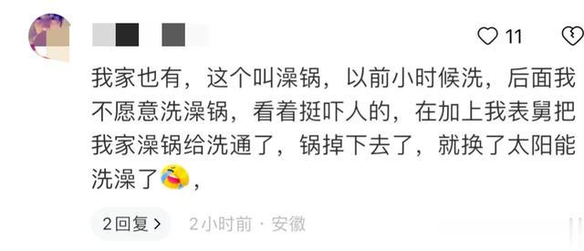 |坐在锅里洗澡？这不是要炖了我吧，网友建议加入八角香料