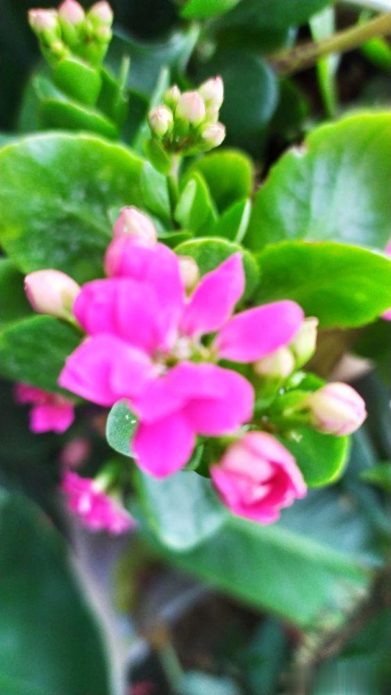 |也谈降低兴奋点和提高幸福感---老韩头条三言两语杂谈四十三