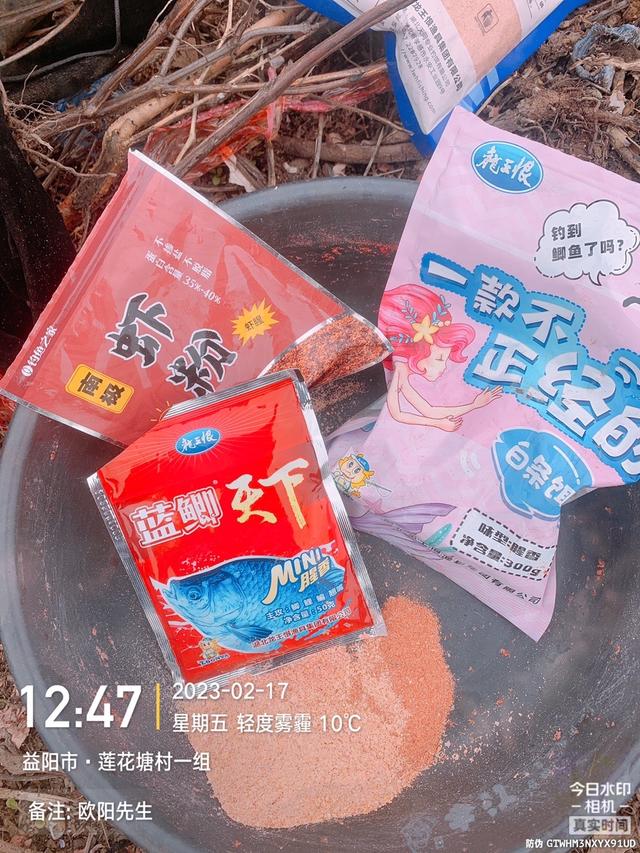 鲫鱼|【钓鱼之家虾粉】探钓凤凰湖，最终还是莲花电排沟爆连