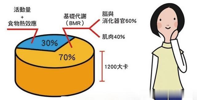 饮食|为什么减肥中每天吃得也不多，但就是一点都瘦不下去？