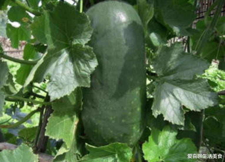 初冬,红豆大量上市,能做什么吃?5种做法好吃又好做!