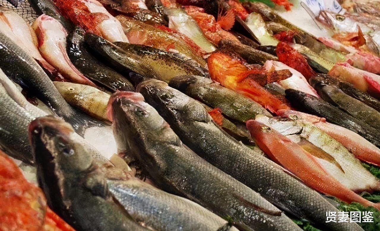 |买鱼时,别傻傻地让商家挑,要牢记这4点,鱼肉鲜嫩又好吃