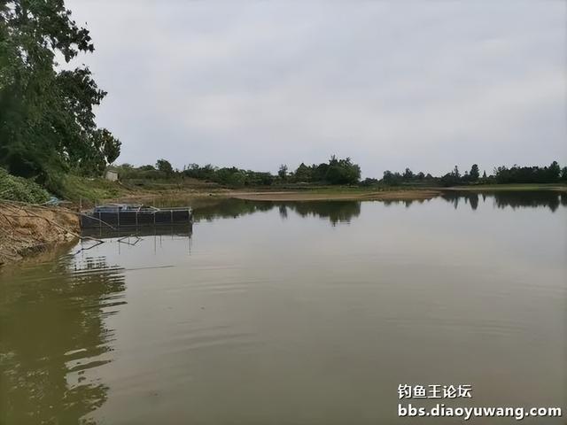 |生鲜大玉米,钓翘也钓鲫