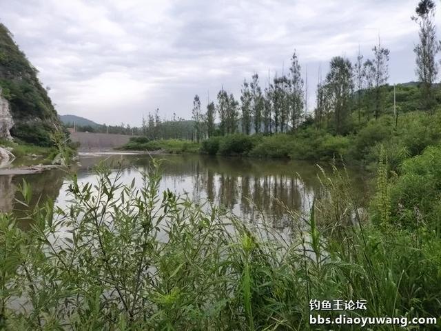 今晚吃鱼效果好，同学同钓兴致高