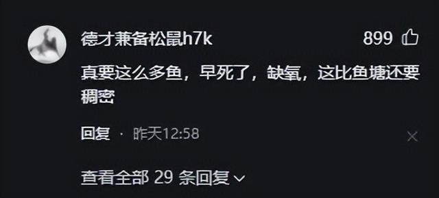 日本|日本河道“亚洲鲤鱼”成灾，挤在一起水面都变黑了