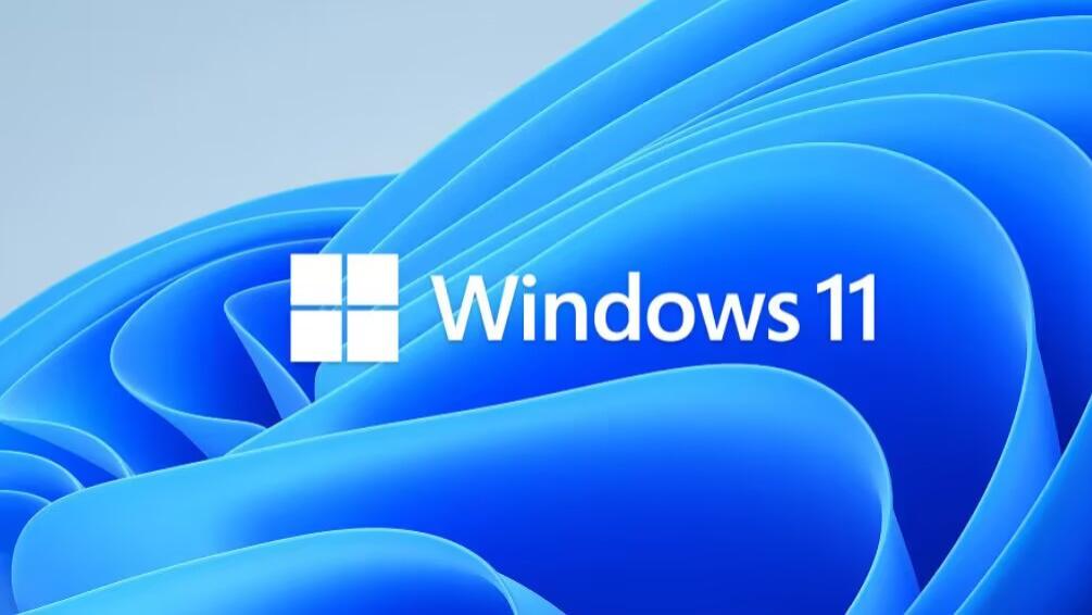 Windows11|Win11基本凉了，安装率还不如XP系统