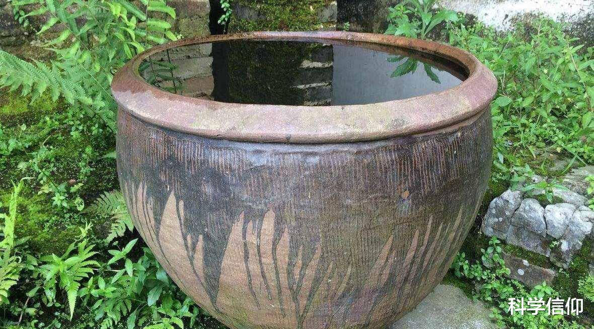 |水缸里面放条鱼,鱼为什么不会死?水为什么不会腥?