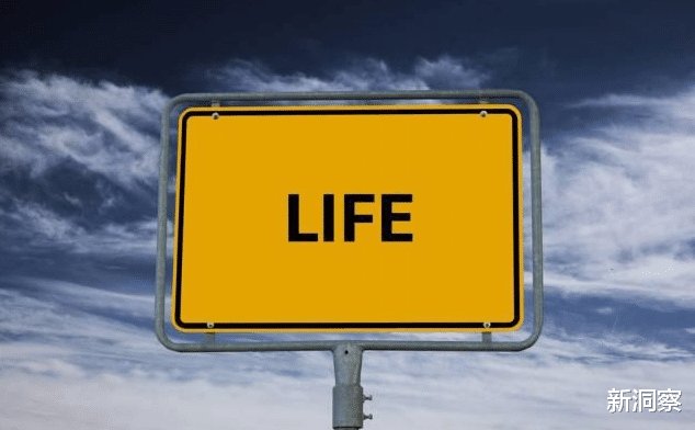 段鹏|体制内二十年，我才明白，什么是体制人最好的运气？