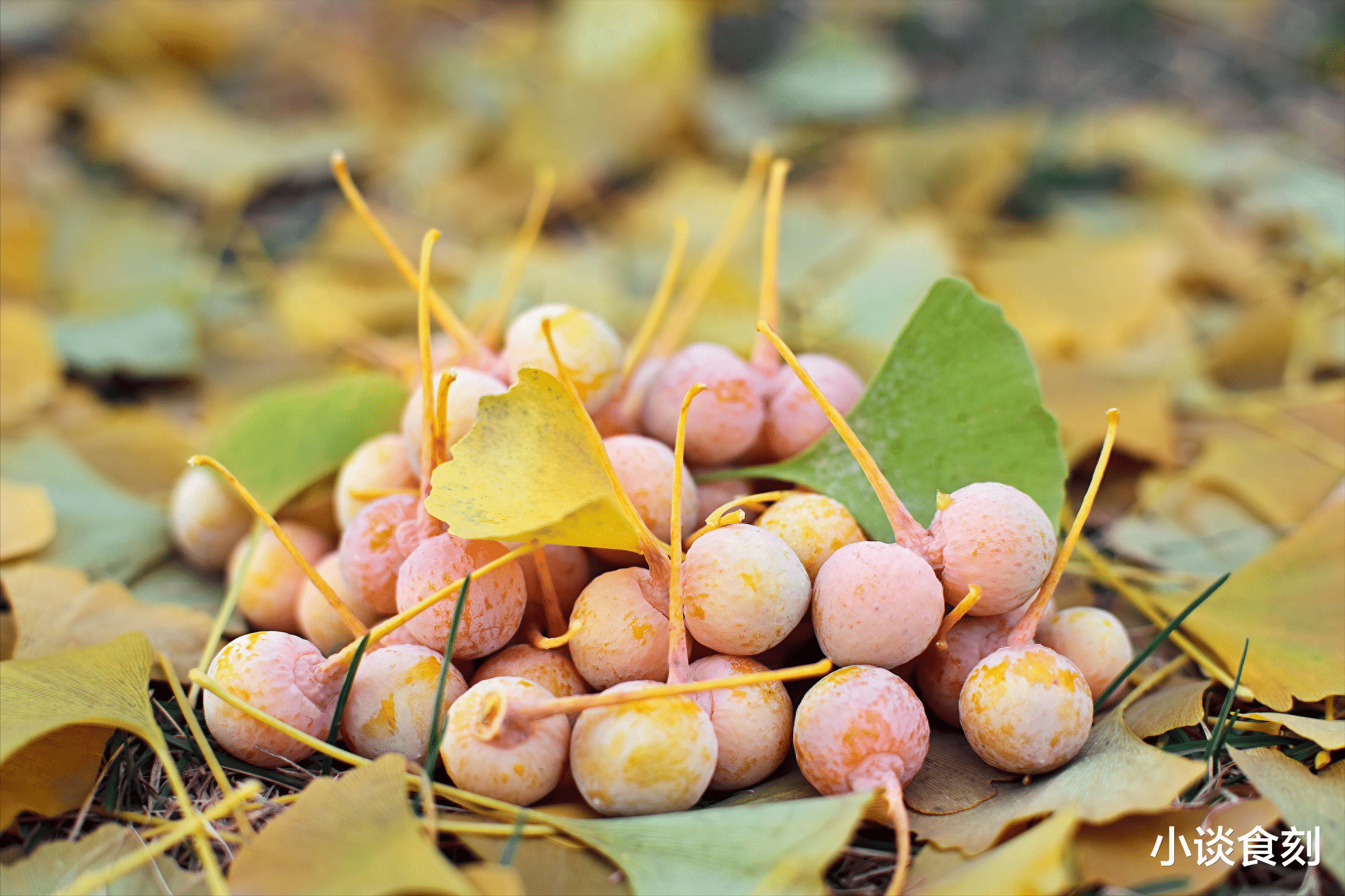 |今日是九月头一天,提醒“2做3不吃”,顺时令添安康,早看早受益