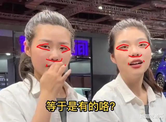 新能源|宝马招聘女孩被要求统一长相,三角眼,大鼻头,厚嘴唇,东方审美