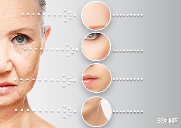 运动|生命到底在于运动，还是在于静养？调查1500名老人，研究给出答案