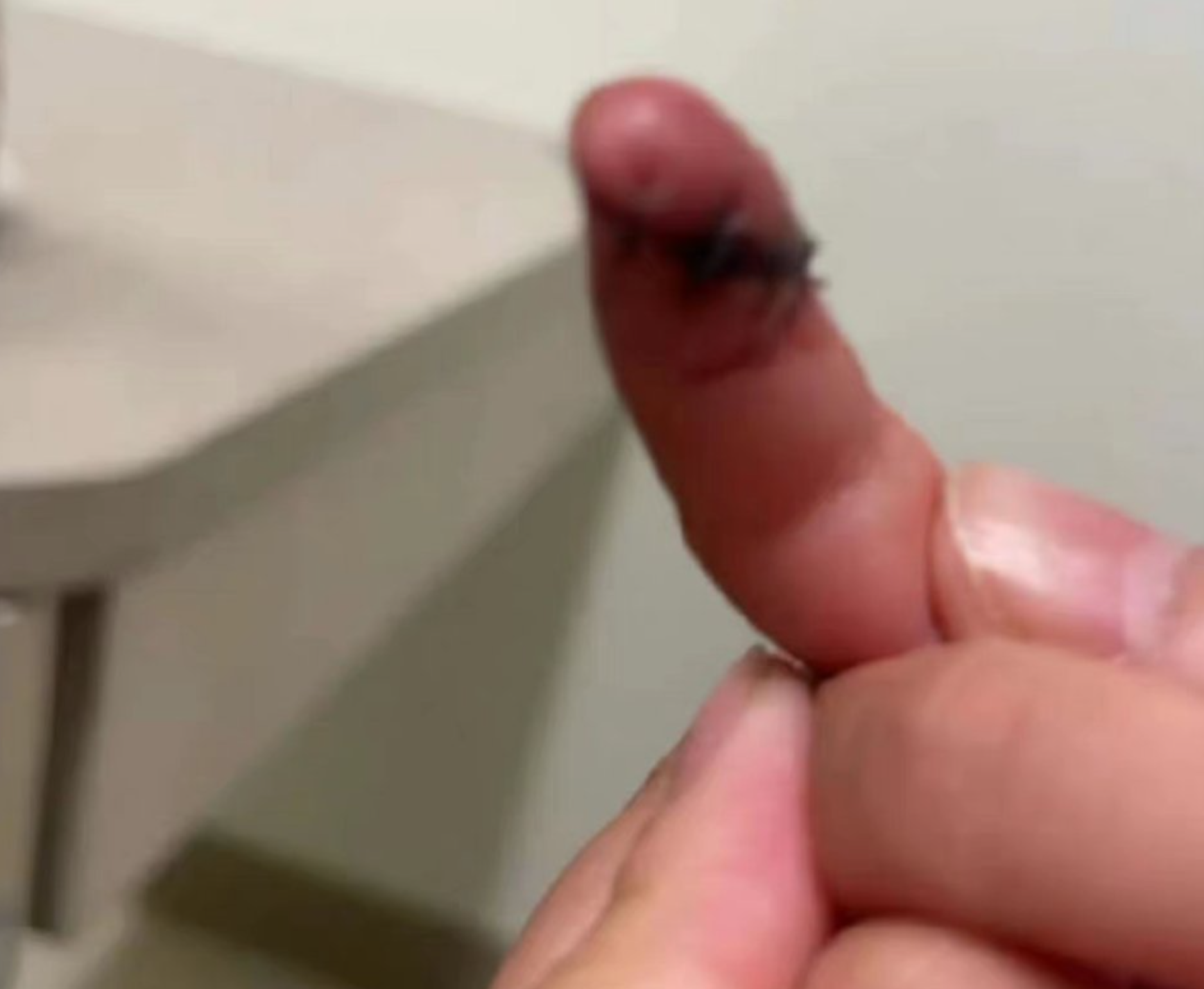 郑爽|前顶流女星,大瓜曝光!