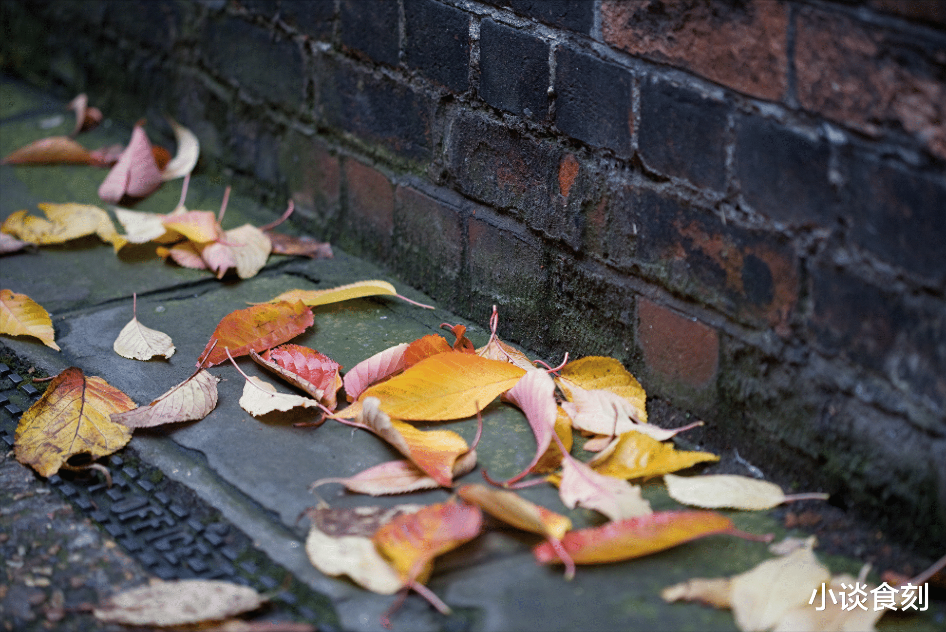 甲醛|今日寒露,天气下雨有啥预兆?今年是冷冬还是暖冬?答案来了