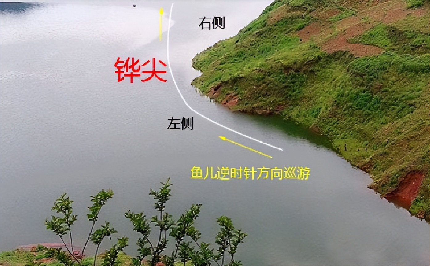|钓鱼找鱼道，不怕没鱼钓，在野钓中怎么精准找到鱼道？