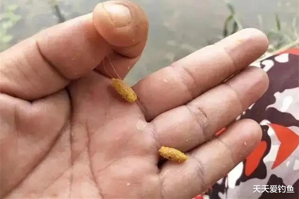 钓鱼技巧:调目和钓目的高低,是如何确定的?