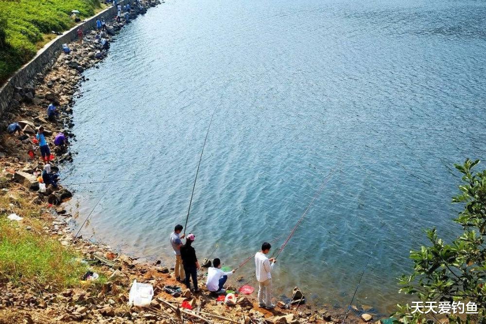 水库|春季钓水库,钓位选择示意图,这些位置大鱼扎堆