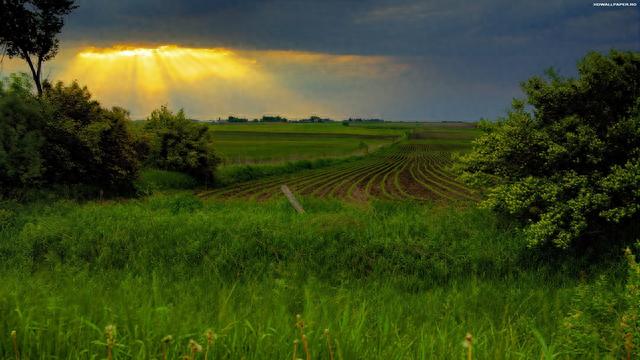 同学58岁就生病去世，参加完他的葬礼后，我狠心断掉了儿子的月供