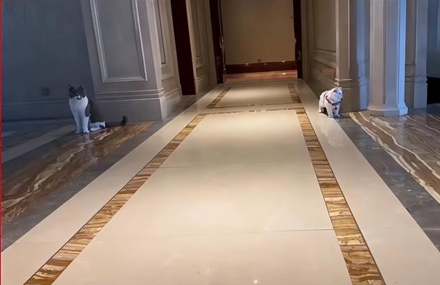 马蓉|男盗女娼6年后，马蓉的“遮羞布”，终究被儿子王子豪亲手扯下