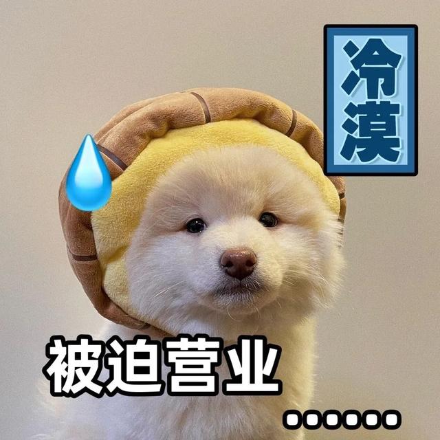 杰尼斯|最帅霸总请辞、人气男团成员接连出走。杰尼斯要完蛋?