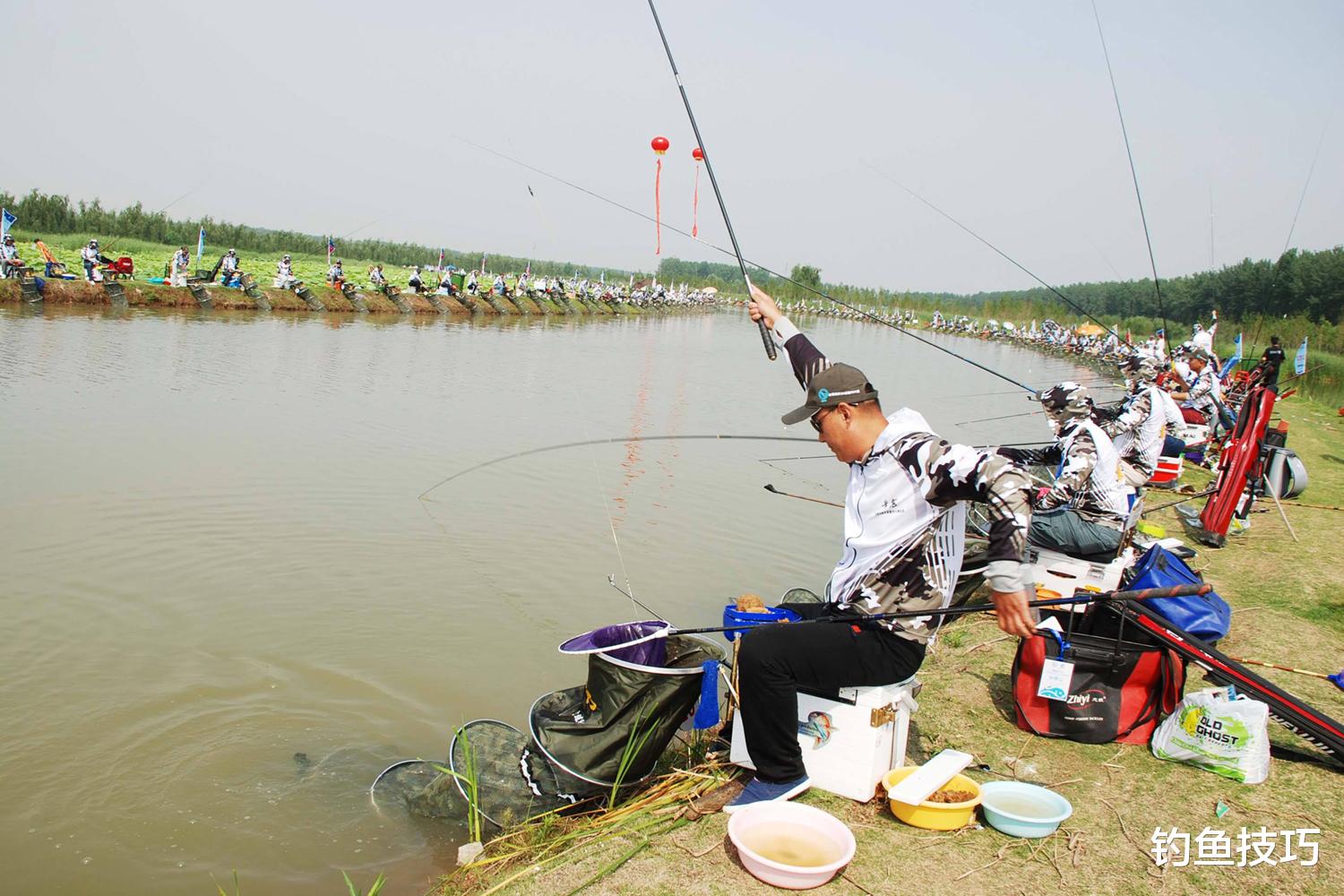 鲤鱼|果酸在春季钓黑坑鲤鱼是否有用?果酸在钓黑坑鲤鱼时的作用和用法
