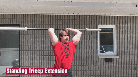 惊喜增肌,仅用一根空杠铃(限有基础训练者)