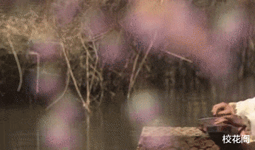 黄蓉|7版黄蓉的惊艳登场对比,谁是独一无二的“俏黄蓉”,谁在硬凑尬演